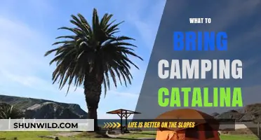 Essential Gear for a Memorable Camping Trip to Catalina Island