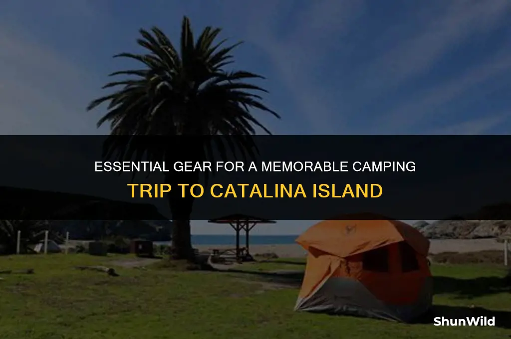 what to bring camping catalina