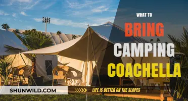 Coachella Camping Essentials: Your Ultimate Packing Guide