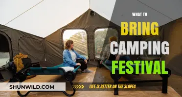 Festival Camping Essentials: Your Ultimate Packing Guide