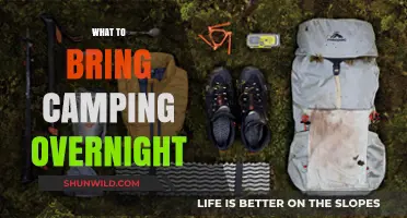 Essential Gear for a Comfortable Overnight Camping Trip