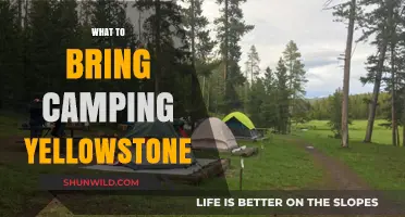 Essential Gear for a Memorable Yellowstone Camping Adventure