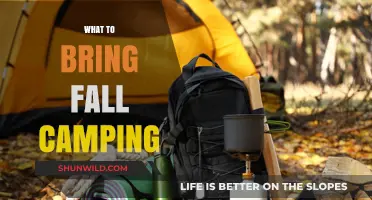 Essential Gear for a Cozy Fall Camping Adventure