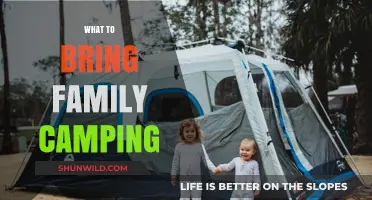 Essential Gear for a Fun Family Camping Adventure