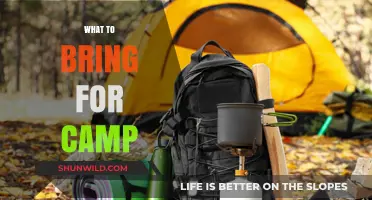 Essential Gear for an Unforgettable Camping Adventure