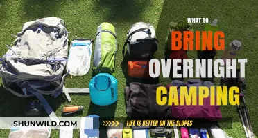 Essential Camping Gear: What to Pack for a Comfortable Overnight Adventure