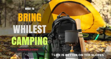 Essential Gear for a Memorable Camping Adventure