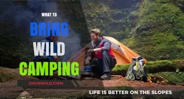Essential Gear for Your Next Wild Camping Adventure
