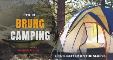 Essential Camping Gear: A Comprehensive Checklist for Your Next Adventure