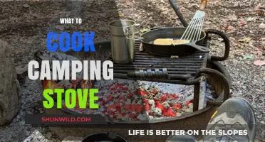 Sizzling Adventures: Mastering the Art of Campfire Cuisine