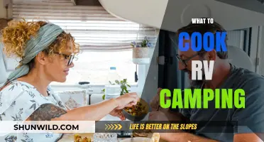 RV Camping Cuisine: Easy and Delicious Meals on the Go