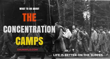 Confronting Injustice: Urgent Actions to Dismantle Concentration Camps