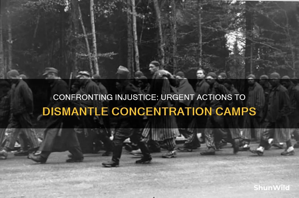 what to do about the concentration camps