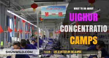 Ending Uighur Oppression: Global Actions to Dismantle Xinjiang Camps