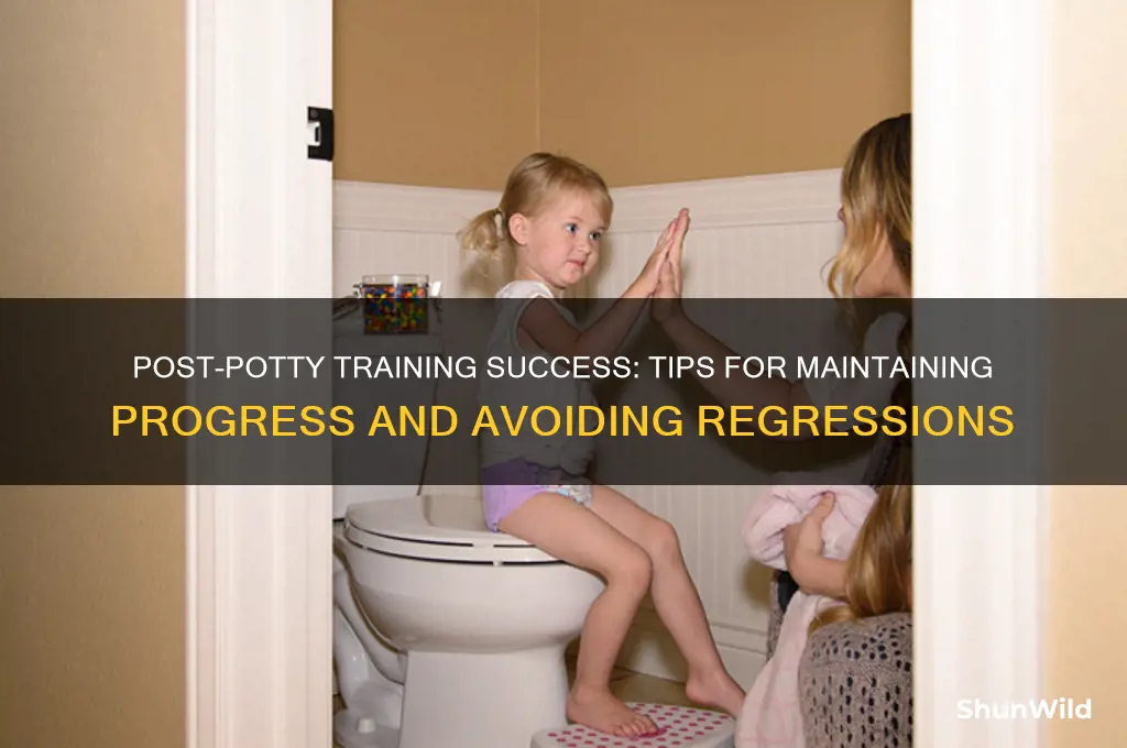 what to do after potty training boot camp