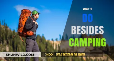 Exploring Alternatives: Fun Activities Beyond the Campsite