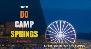 Discover the Best Activities at Camp Springs: Your Ultimate Guide