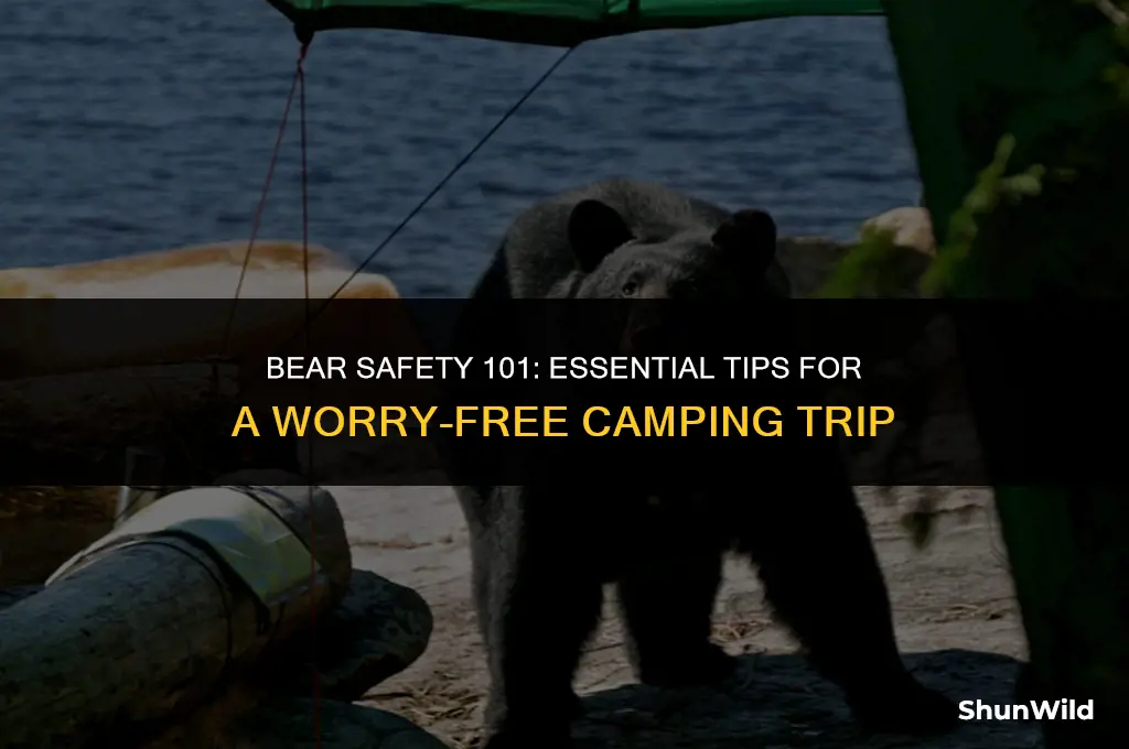 what to do camping bear