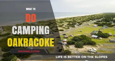 Exploring Oakracoke: A Camper's Guide to Hidden Gems and Adventures