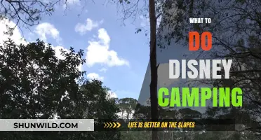 Essential Tips for a Magical Disney Camping Adventure