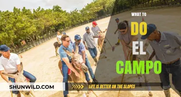 Exploring El Campo: A Guide to Activities and Adventures