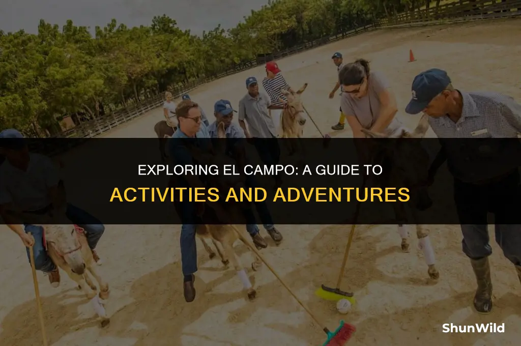what to do el campo