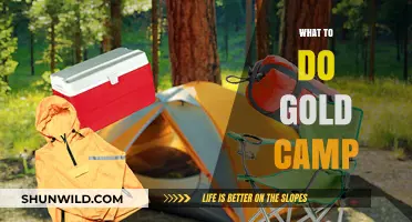 Unearth Riches: A Beginner's Guide to Gold Camping Adventures