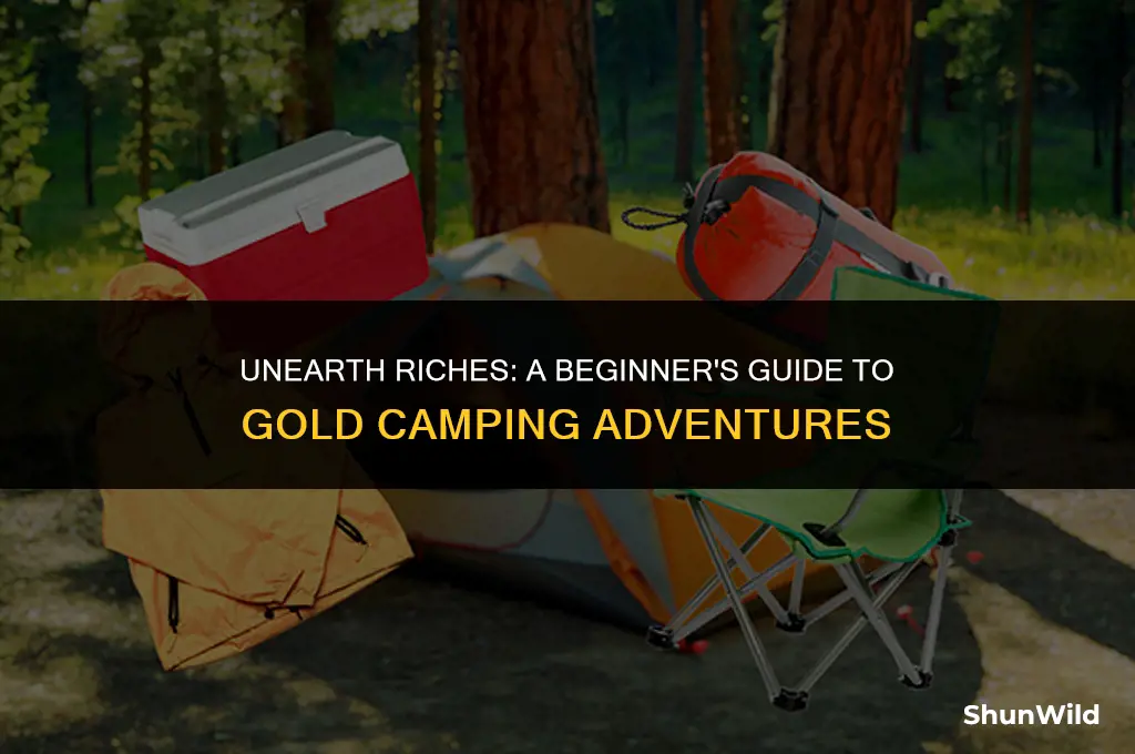 what to do gold camp