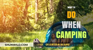 Essential Camping Tips: Activities, Safety, and Fun for Outdoor Adventures