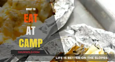 Savoring the Great Outdoors: Delicious Campfire Meal Ideas