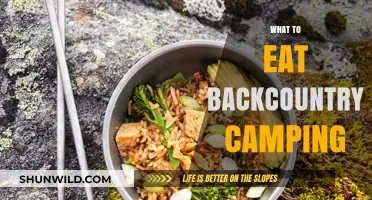 Savoring the Wilderness: A Guide to Backcountry Camping Cuisine