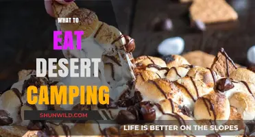 Sweet Treats Under the Stars: Desert Camping Dessert Ideas