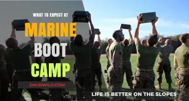 Marine Boot Camp: A Comprehensive Guide to Training and Expectations