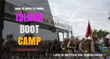 Parris Island Boot Camp: What to Expect During Marine Training