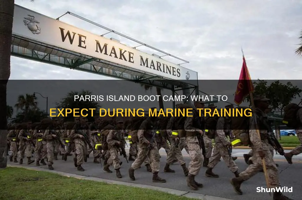 what to expect at parris island boot camp