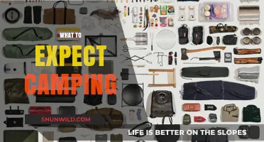 Embracing the Wilderness: A Beginner's Guide to Camping Essentials