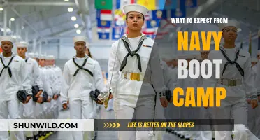 Navy Boot Camp: Challenges, Training, and Transformation Ahead