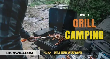 Sizzling Adventures: The Ultimate Guide to Grilling While Camping