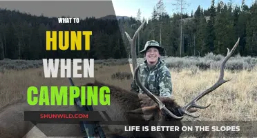 Wilderness Bounty: A Guide to Hunting While Camping