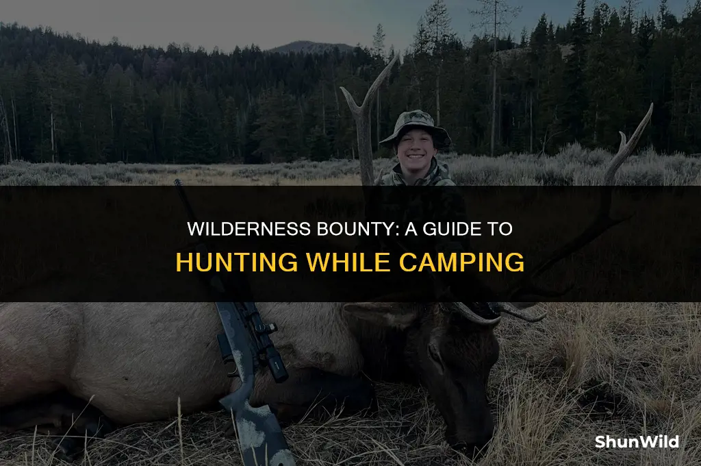 what to hunt when camping