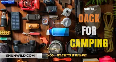 Essential Camping Gear: A Comprehensive Packing Guide