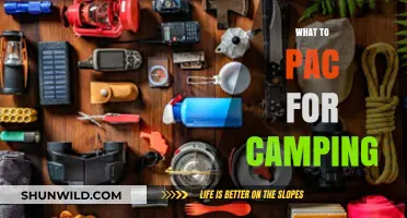 Essential Camping Gear: What to Pack for an Unforgettable Outdoor Adventure