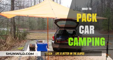 Essential Gear for a Comfortable Car Camping Adventure