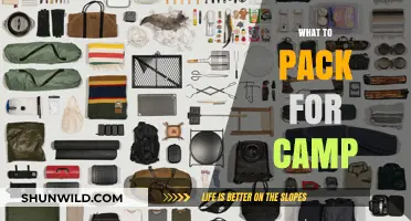Camping Essentials: Smart Packing Tips for a Stress-Free Outdoor Adventure