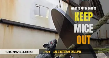 Keep Mice Away: Boat-Proofing Essentials