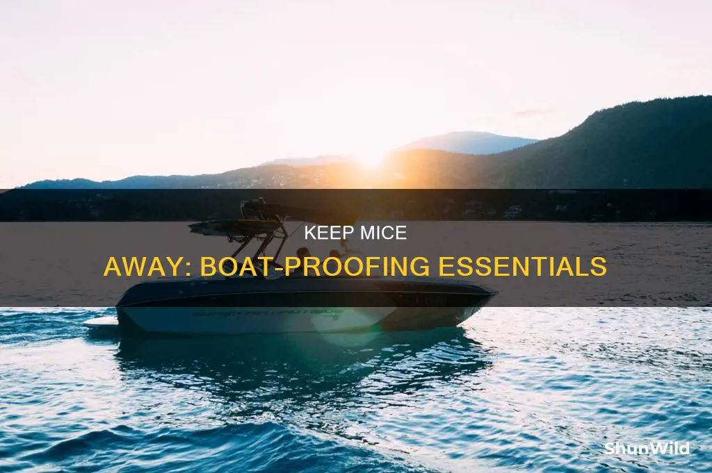 what to put in boat to keep mice out