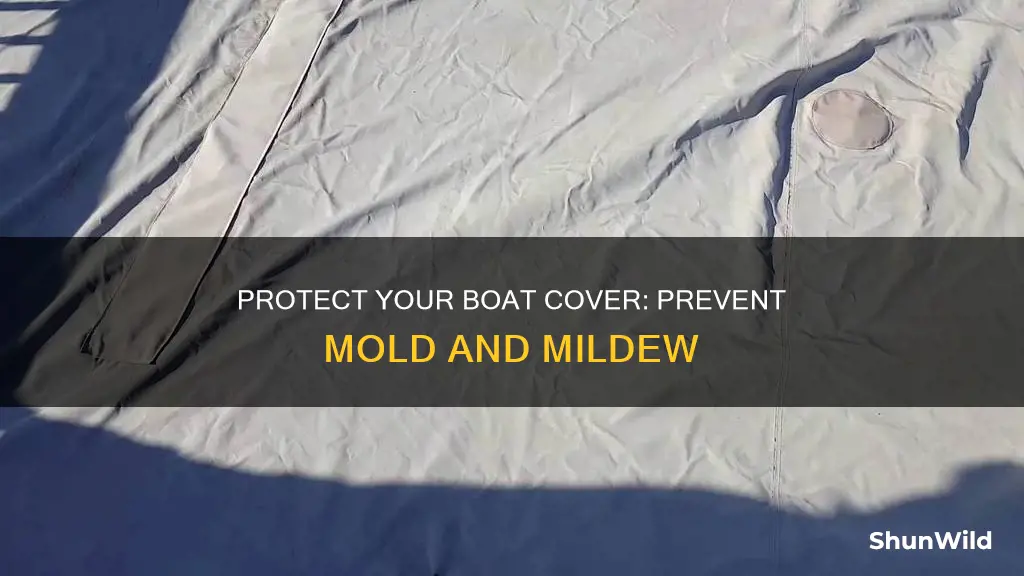 what to put on boat cover for mold