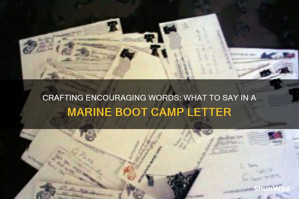 what to say in a marine boot camp letter