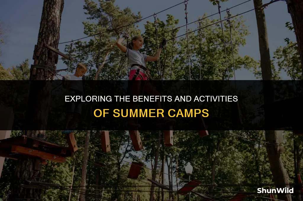 what to summer camps have
