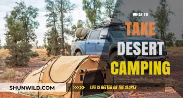 Essential Gear for a Desert Camping Adventure